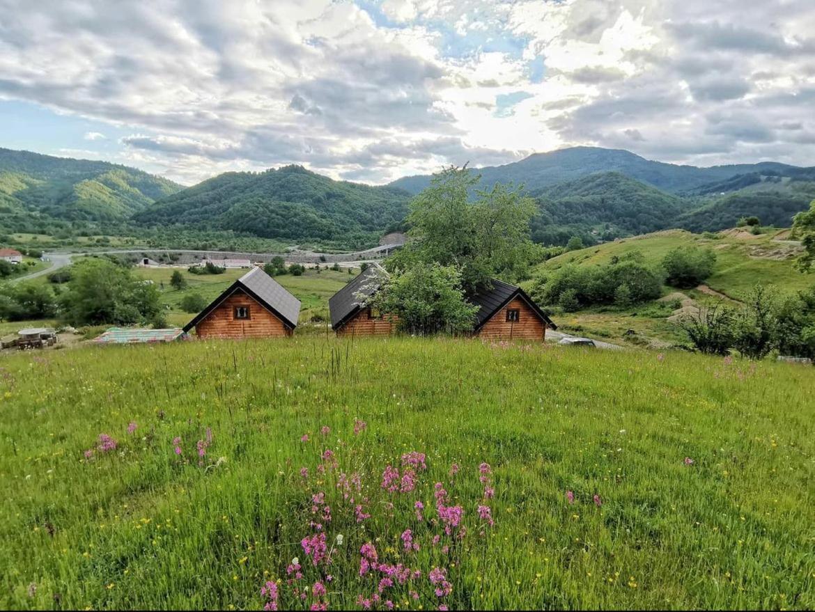 Sunny Hill Cabins Колашин Екстер'єр фото